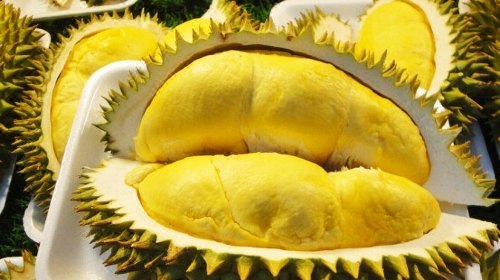 泰国榴莲之后,又一地方水果引发中国游客大规