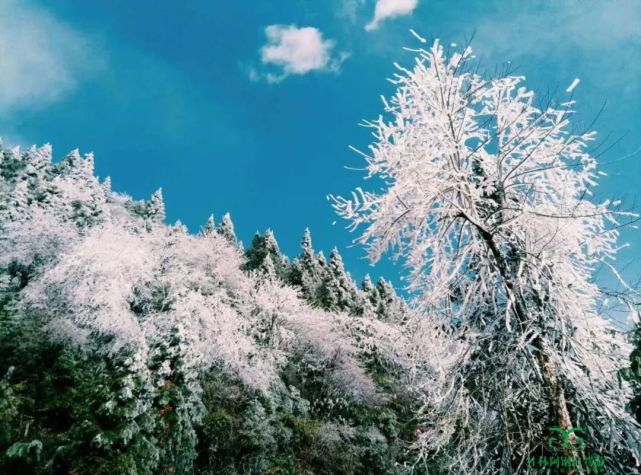 就在桂林周边这14个最全的雪景雾凇观赏地美爆了收藏约起来