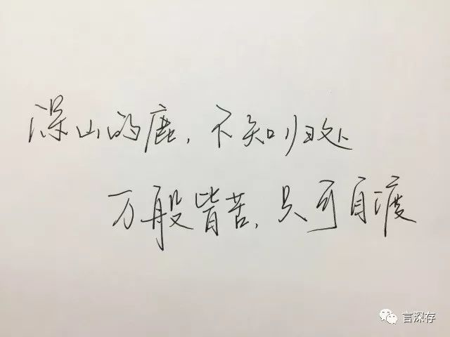 深山的鹿,不知归处;万般皆苦,只可自渡