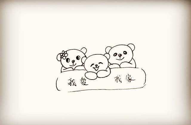 画出另一旁的熊爸爸. 第八步  再画出另一旁美丽的熊妈妈.