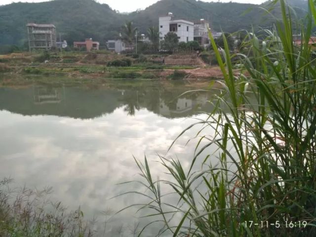 仙居下各镇多少人口_2019仙居下岸水库(2)