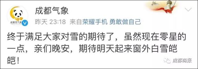 成都下雪了!这次是城区!你看见了吗?