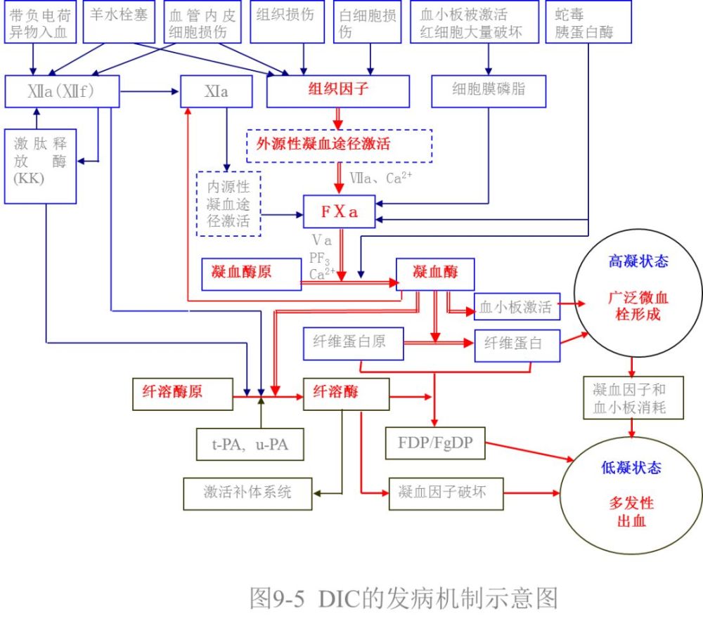 一篇文章彻底把dic讲清楚了_腾讯新闻