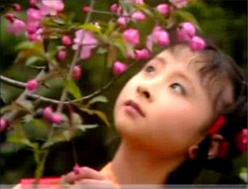 《红楼梦》主题思想这么多年来众说纷纭,贾宝