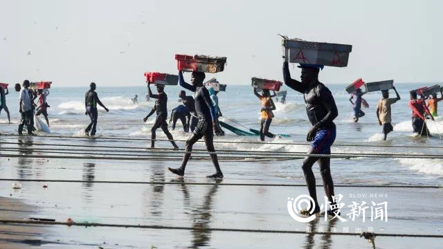 16000公里穿越16国：重庆大学生非洲骑行回国