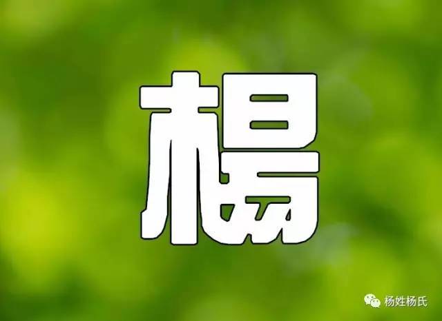 杨姓人口多嘛_杨姓人口分布图(2)
