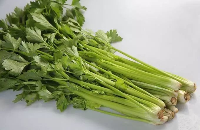 想补水别光喝水,这18种食物含水量高,让你变得