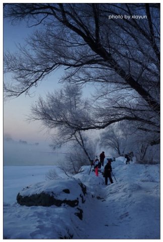 美哉,雾凇岛,沿岸的松柳凝霜挂雪,戴玉披银