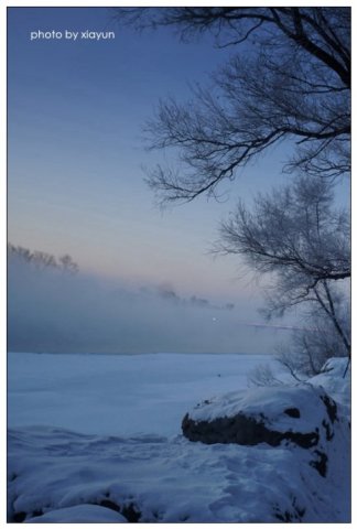 美哉,雾凇岛,沿岸的松柳凝霜挂雪,戴玉披银