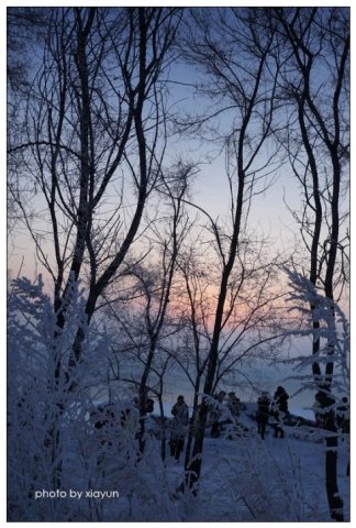 美哉,雾凇岛,沿岸的松柳凝霜挂雪,戴玉披银