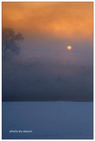 美哉,雾凇岛,沿岸的松柳凝霜挂雪,戴玉披银