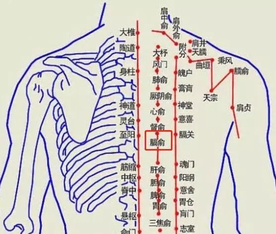 人体后背有一穴可活血化瘀防大病让全身气血动起来