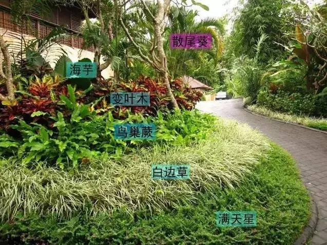 多重绿化景观:树不在多,巧植就行