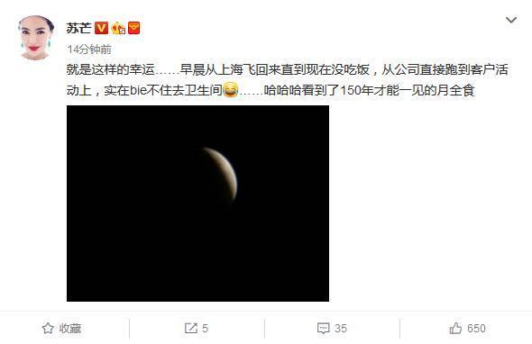 众星赏月:黄晓明父子齐上阵,李冰冰讲了个故事,宁静许了个愿
