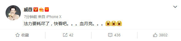 众星赏月:黄晓明父子齐上阵,李冰冰讲了个故事,宁静许了个愿