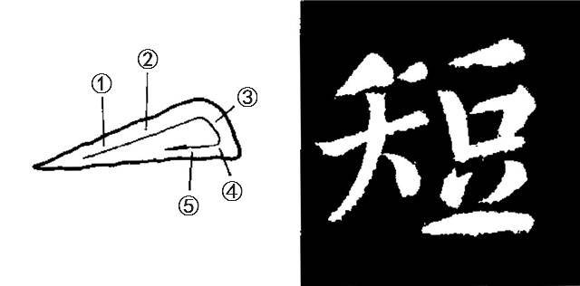 左尖横—范字【短】长横—范字【一 十 上】顺锋入笔.渐行渐重.