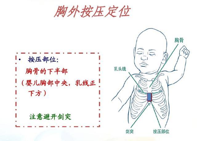 按照胸外按压30次后进行2次人工呼吸(2个人以上时胸外按压15次进行2次