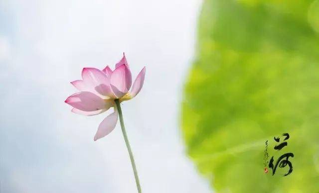 "做人,要心存善念,上天总会亲近和帮助善良的人.人有善念,天必佑之.