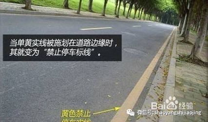 邵阳红旗路、城北路单行循环交通2月3日正式