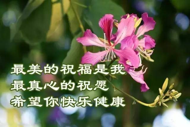 最美的祝福送给你 腾讯网