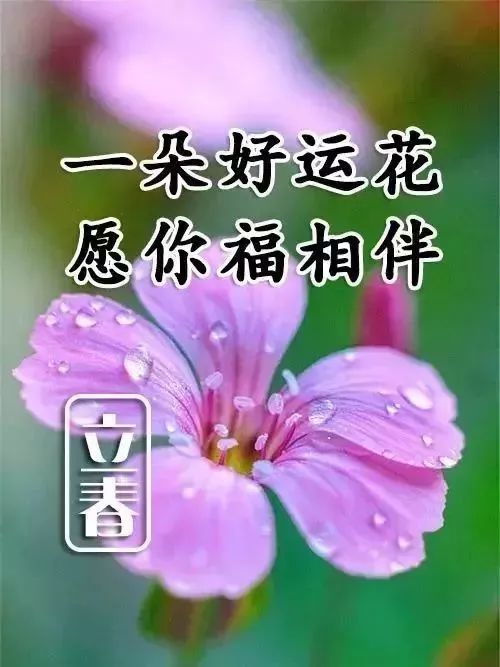 立春节气,祝新一年, 友谊长久,幸福美满!