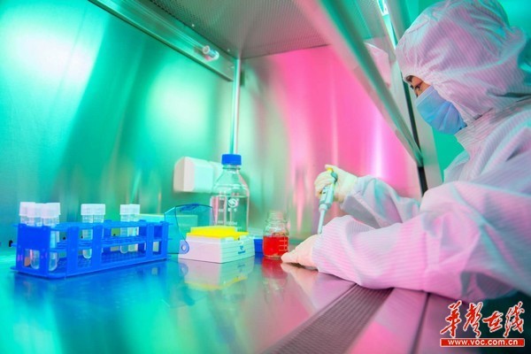 岳阳药品质管员齐杰:做好人民健康的守门人