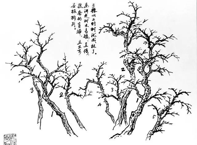 画山水:须未练石先练树!