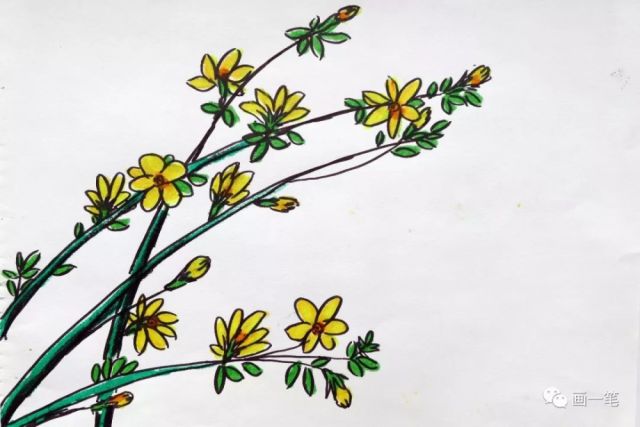 迎春花