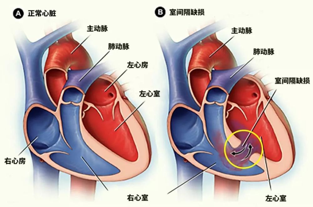 孩子没救回来,家长扑通跪在了我们面前.