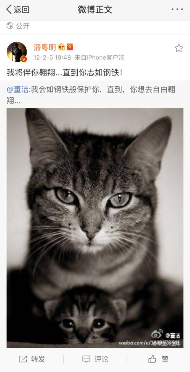 潘粤明连续7年微博为儿子庆生,网友看到替他心疼