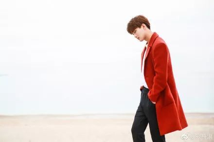 小狼狗?小奶狗?盐系?不!我熊梓淇是要成为藏獒