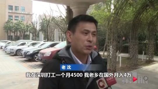 国外养猪月入两万八 这样的工作你心不心动？