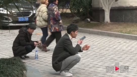 国外养猪月入两万八 这样的工作你心不心动？