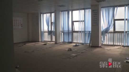 国外养猪月入两万八 这样的工作你心不心动？