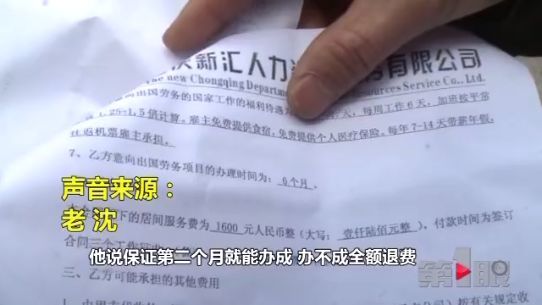 国外养猪月入两万八 这样的工作你心不心动？