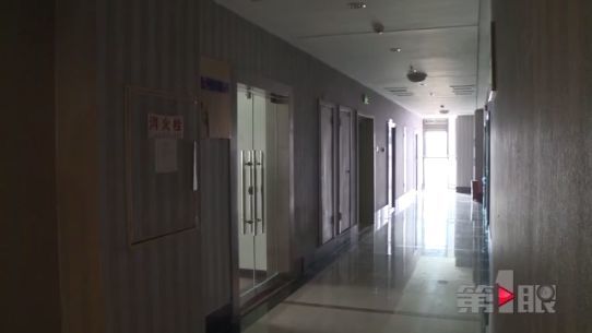 国外养猪月入两万八 这样的工作你心不心动？