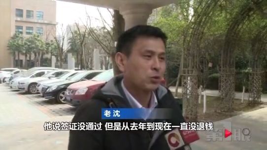 国外养猪月入两万八 这样的工作你心不心动？