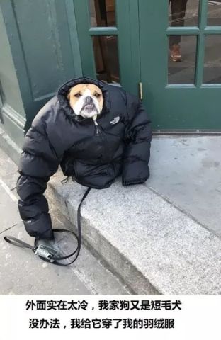 大家都在晒图证明自己的城市有多冷   01   02   03   04   05   06