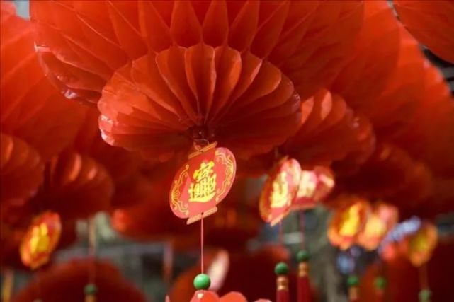 深圳各区，家门口逛花市、观鸟、看灯展庙会…全部免费！