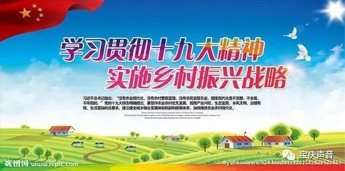 实施乡村振兴要重点把握五个关键词