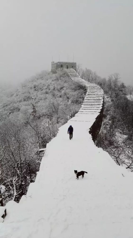 古道西风瘦马