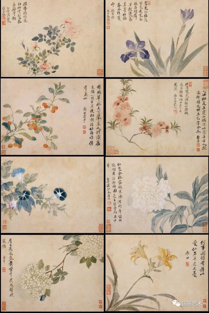 华岩 花鸟草虫图册八开 上海博物馆藏