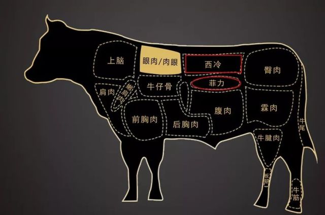 牛肉分割图