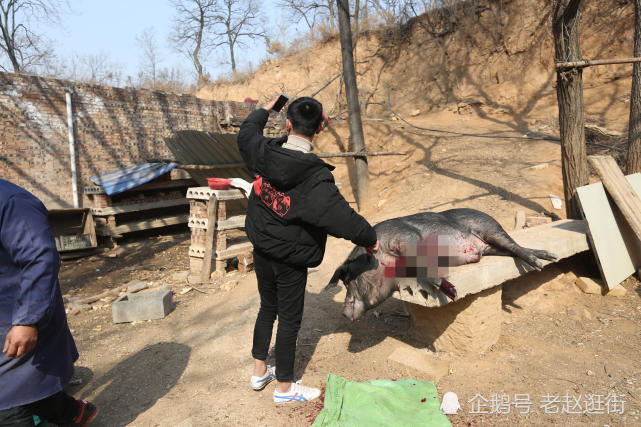 洛阳美女杀猪现场玩自拍 养殖户无奈