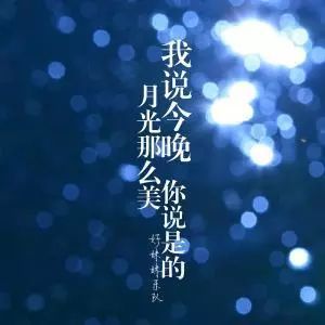 我说今晚月光那么美你说是的简谱_今晚月光替我想你(2)