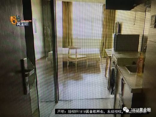 姑娘搬进来第二个月发现鼠患严重:半夜经常被