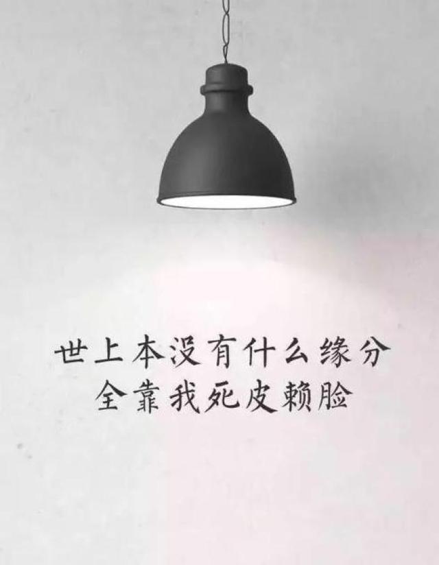 励志毒鸡汤:世上本没有什么缘分,全靠死皮赖脸
