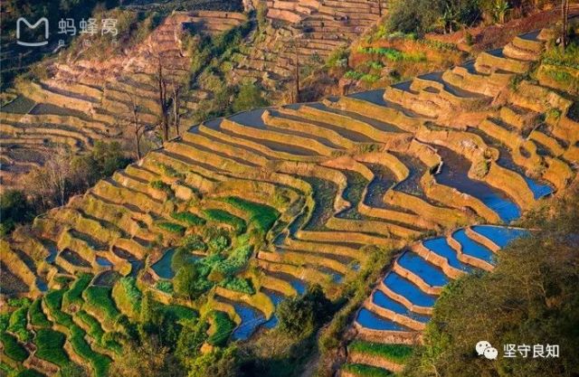 红河县宝华乡人口_红河宝华乡撒玛坝梯田