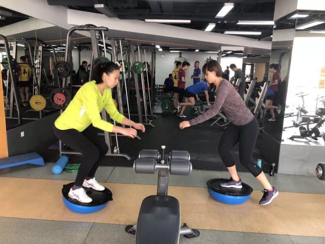 上海女排引援针对性强 杨舟拦网曾春蕾经验宝