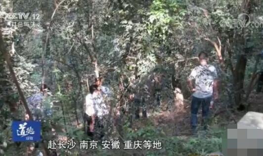 震惊全国8年的长沙爆头哥案是怎么侦破的?他